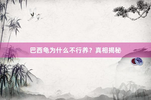 巴西龟为什么不行养？真相揭秘